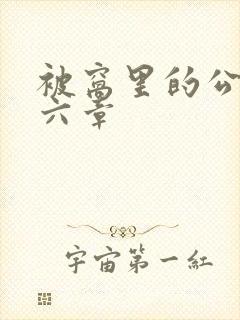 被窝里的公息十六章