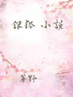银狐 小说