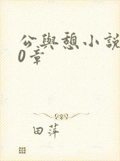 公与憩小说400章