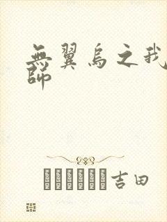 无翼乌之我的教师