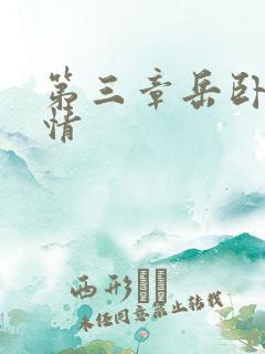 第三章岳卧室激情