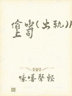 偷吃(出轨)h上司