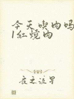 今天吃肉吗1V1红烧肉