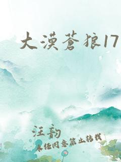 大漠苍狼17