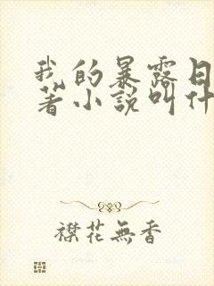 我的暴露日记原著小说叫什么