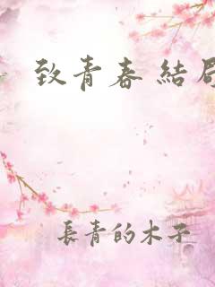致青春 结局