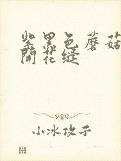 紫黑色蘑菇头顶开花缝