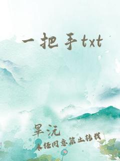 一把手txt