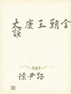 大康王朝金峰小说