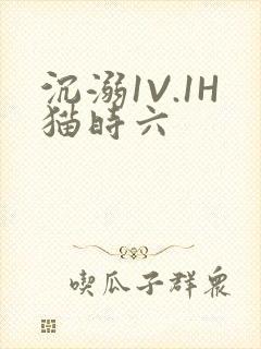 沉溺1V.1H猫时六