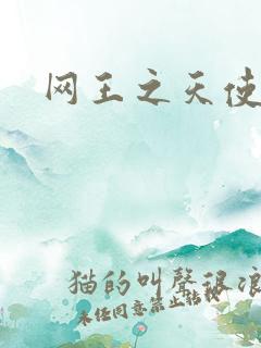 网王之天使羽翼