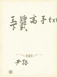 王牌高手txt下载