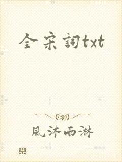 全宋词txt