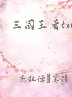 三国王者txt