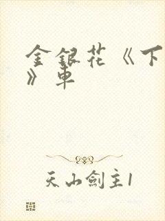 金银花《下厨房》车