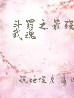 斗罗之最强治疗武魂