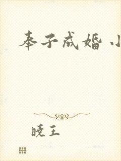 奉子成婚 小说