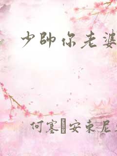 少帅你老婆