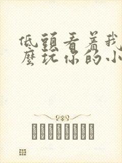 低头看着我是怎么玩你的小说