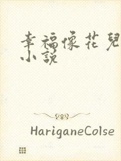 幸福像花儿一样小说