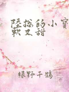 陆总的小宝贝又软又甜