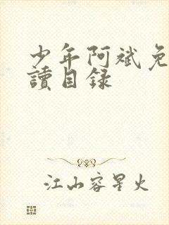 少年阿斌免费阅读目录