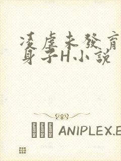 凌虐未发育的小身子H小说