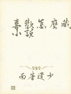 喜欢怎么藏不住小说