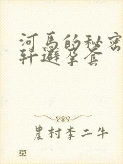 河马的秘密河文轩避孕套