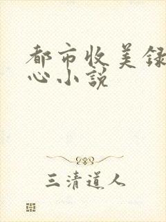 都市收美录宁素心小说