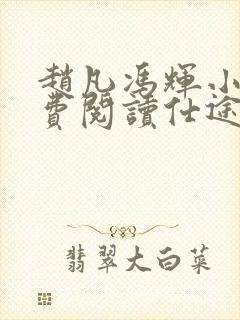 赵凡冯辉小说免费阅读仕途赵凡