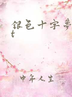 银色十字梦txt