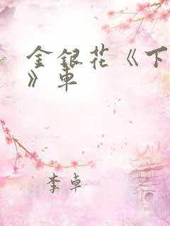 金银花《下厨房》车