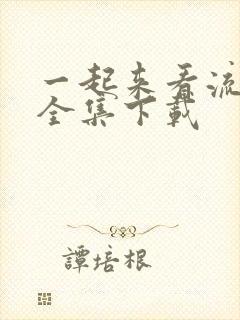 一起来看流星雨全集下载