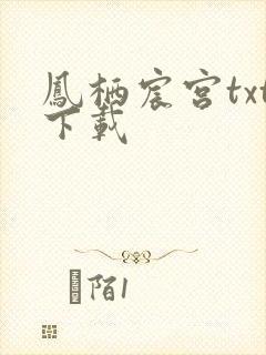凤栖宸宫txt下载