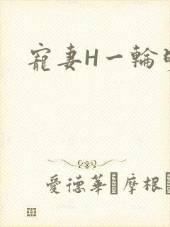 宠妻H一轮明月