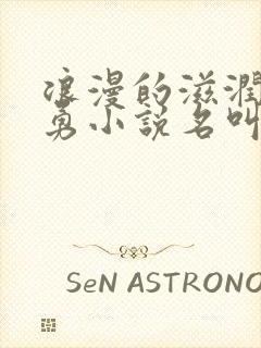 浪漫的滋润刘大勇小说名叫什么?