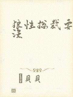 狼性总裁要够了没
