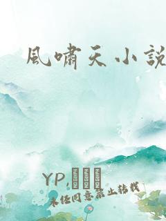风啸天小说