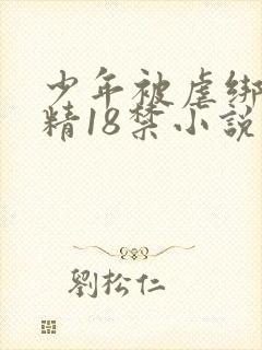 少年被虐绑着榨精18禁小说