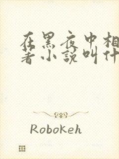 在黑夜中相拥原著小说叫什么