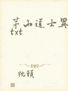 茅山道士异界游txt