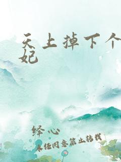 天上掉下个奇王妃