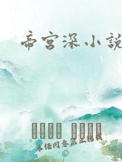 帝宫深小说
