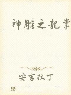 神雕之龙掌门