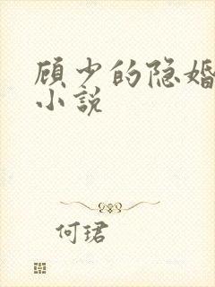 顾少的隐婚罪妻小说