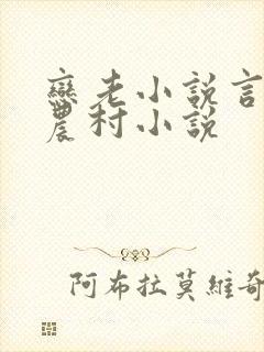 恋老小说言情网农村小说