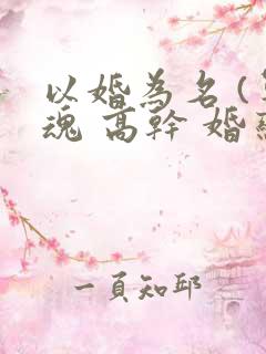 以婚为名 (军魂 高干 婚恋)