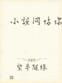 小说网站你懂的