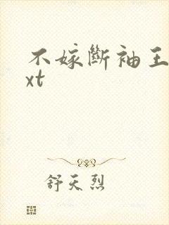 不嫁断袖王爷txt